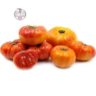 گوجه فرنگی آناناسی