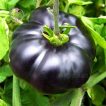بذر گوجه فرنگی سیاه زیبا