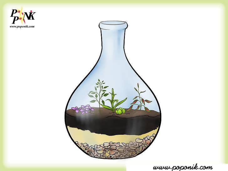 چگونه میتوان درون یک بطری یه باغچه پرورش داد