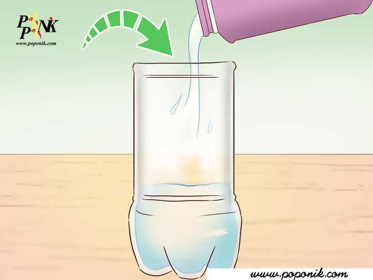 چگونه میتوان درون بطری یک اکوسیستم ایجاد نمود