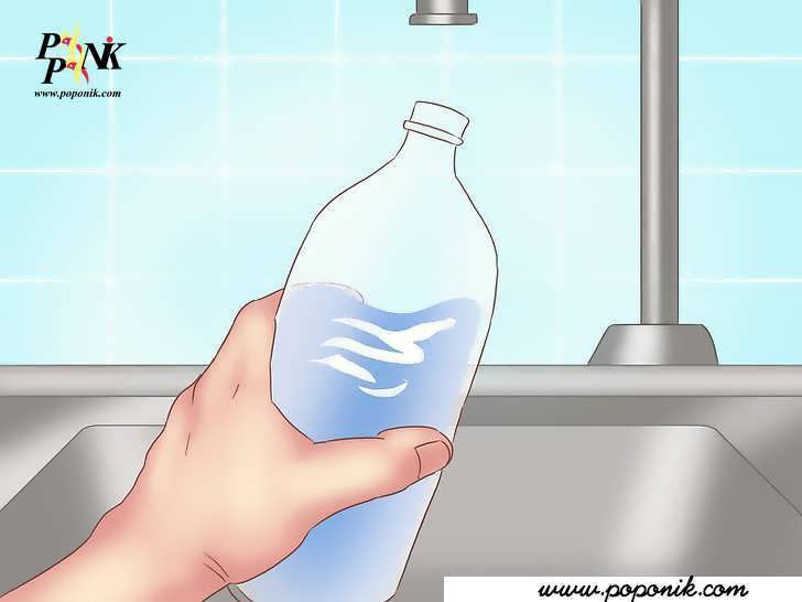 چگونه میتوان درون بطری یک اکوسیستم ایجاد نمود