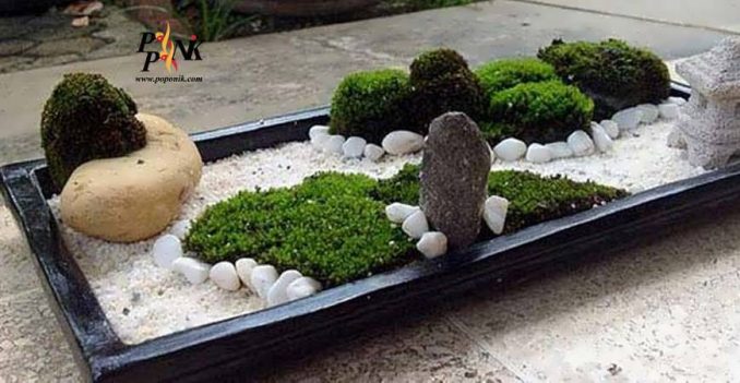 چگونه میتوانید یک Zen Garden روی میز کار خود داشته باشید