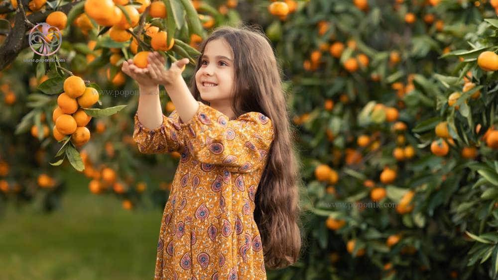 دختری در باغ اماده چیدن نارنگی های تازه و رسیده