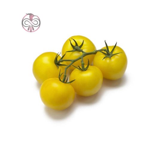 بذر گوجه فرنگی تاکسی زرد