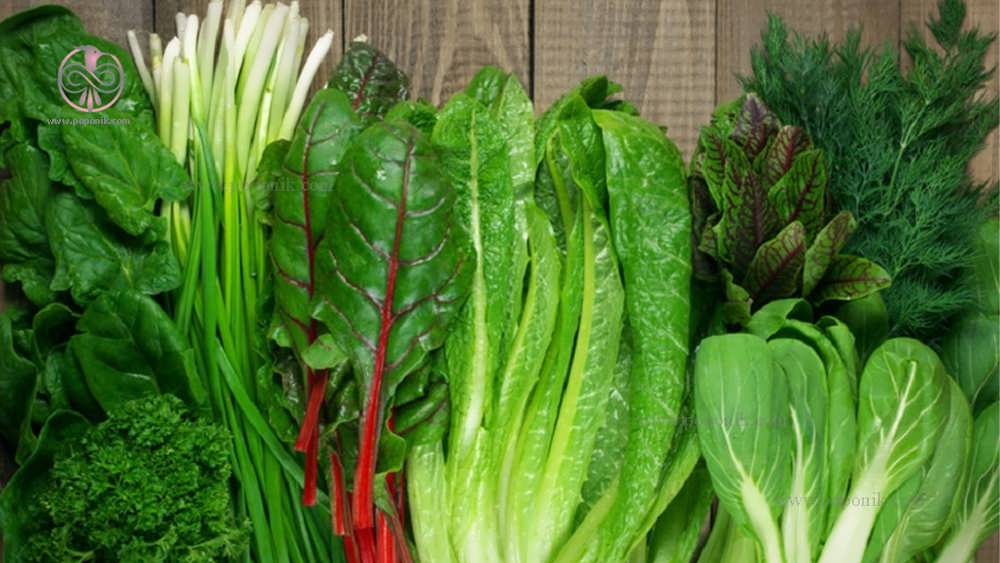 سبزیجات سالادی مناسب سیستم آکواپونیک