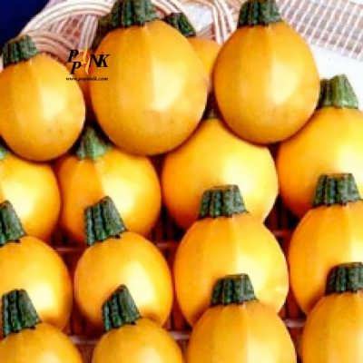 کدو توپی زرد بذر کدو توپی زرد