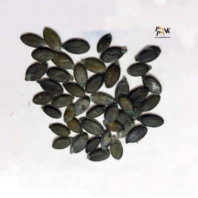 کدو پوست کاغذی بذر کدو پوست کاغذی