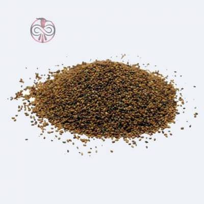 یونجه قره یونجه بذر یونجه قره یونجه