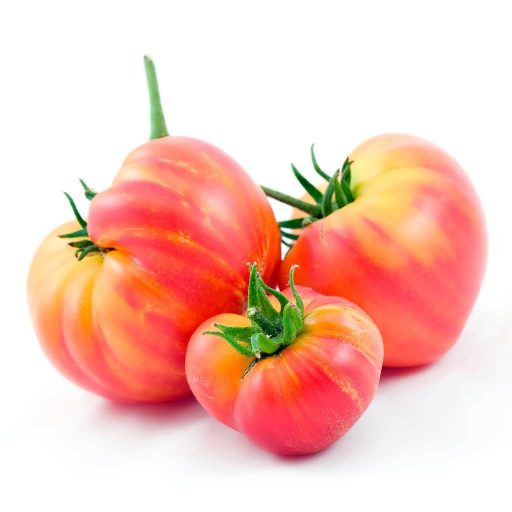 بذر گوجه فرنگی هیلبیلی