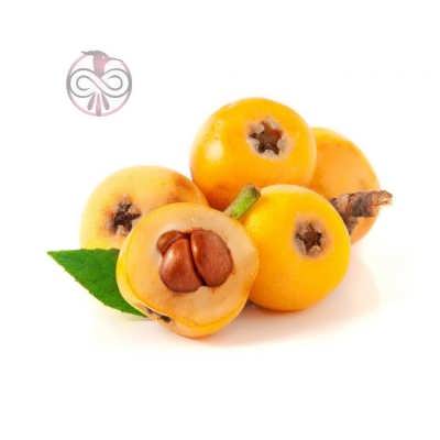 درخت ازگیل ژاپنی بذر درخت ازگیل ژاپنی