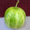 بذر خیار سیب سبز ریچارد