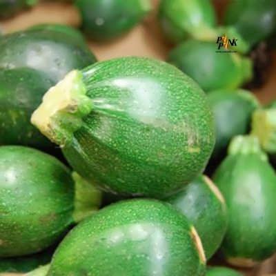 کدو خورشتی رندی بذر کدو خورشتی رندی