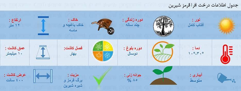جدول اطلاعات بذر درخت افرا قرمز شیرین جدول اطلاعات بذر درخت افرا قرمز شیرین