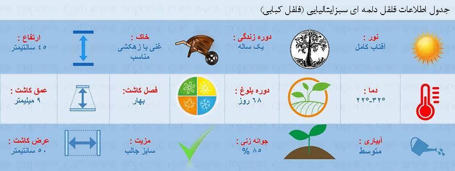 جدول اطلاعات بذر فلفل دلمه ای سبز ایتالیایی (فلفل کبابی) جدول اطلاعات بذر فلفل دلمه ای سبز ایتالیایی (فلفل کبابی)