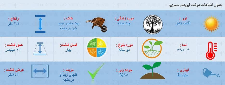 جدول اطلاعات درخت ابریشم مصری