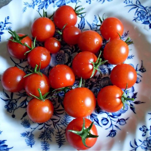 بذر گوجه فرنگی کوچک