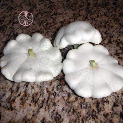 کدو گل سفید بذر کدو گل سفید