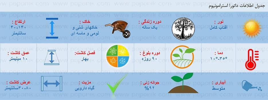 اطلاعات کاشت داتورا استرامونیوم (تاتوره)