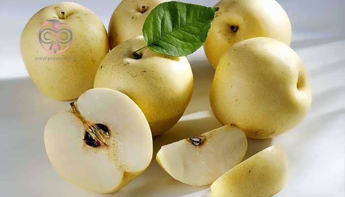 pear-varieties-03.jpg