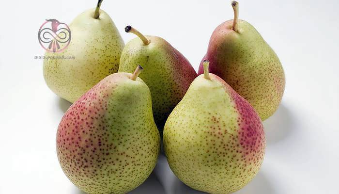 pear-varieties-08.jpg