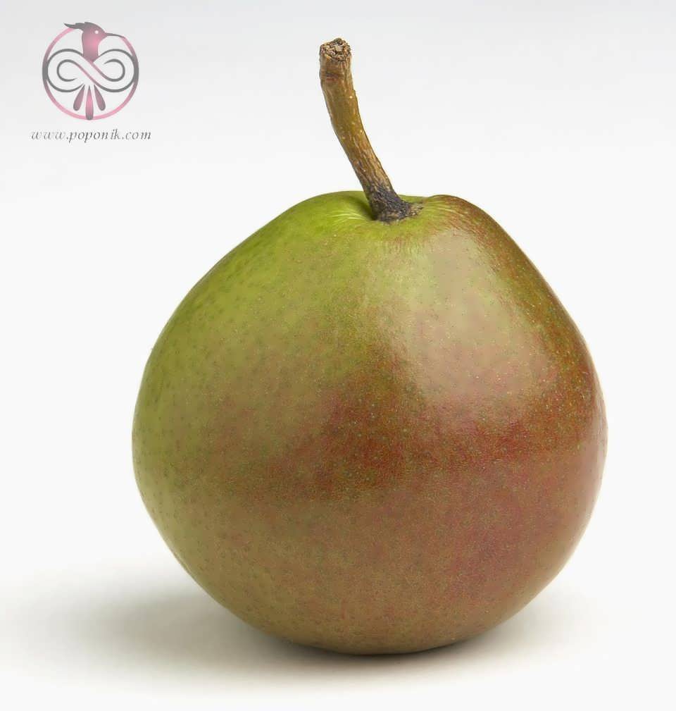 pear-varieties-10.jpg