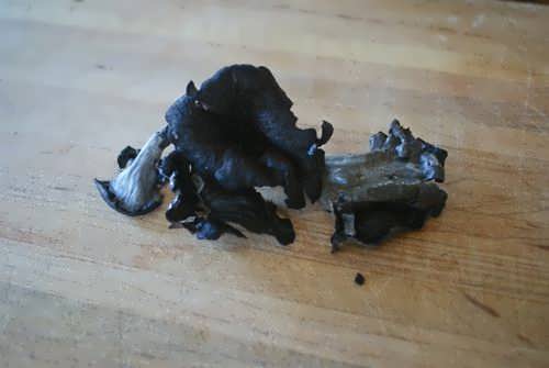 قارچ شیپوری سیاه