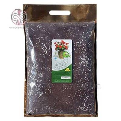 کوکولیت گیلدا کوکولیت گیلدا