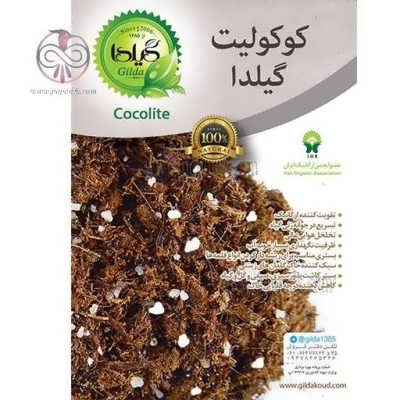 کوکولیت گیلدا کوکولیت گیلدا