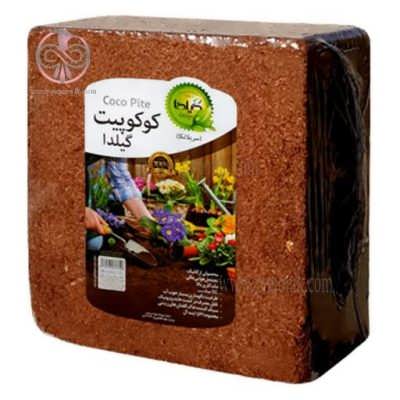 کوکوپیت گیلدا کوکوپیت گیلدا