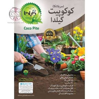 کوکوپیت گیلدا کوکوپیت گیلدا