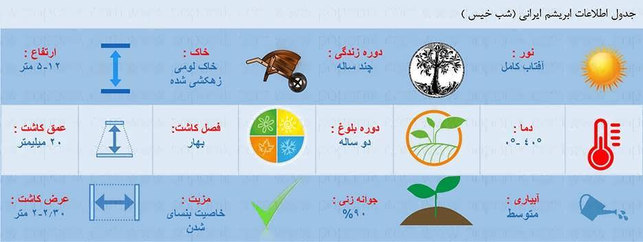 جدول اطلاعات بذر درخت ابریشم ایرانی