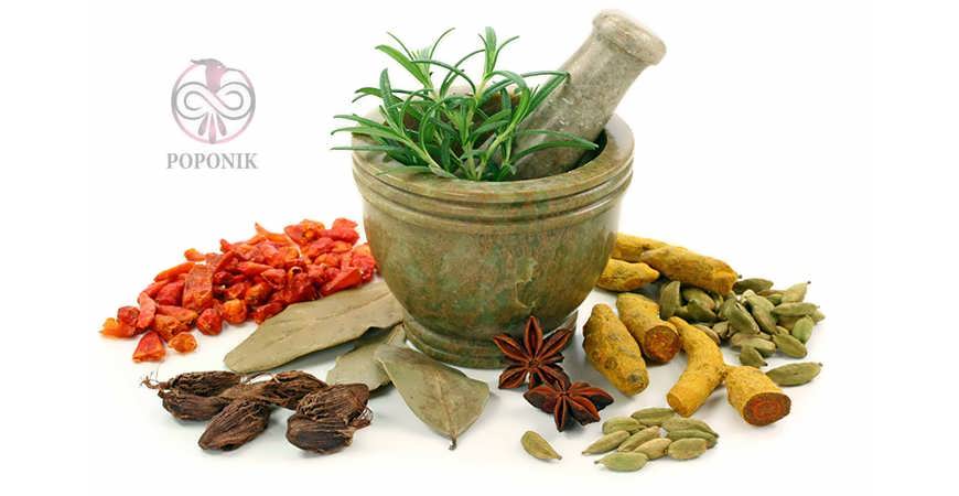 گیاهان داروئی در طب سنتی ترکه داوا