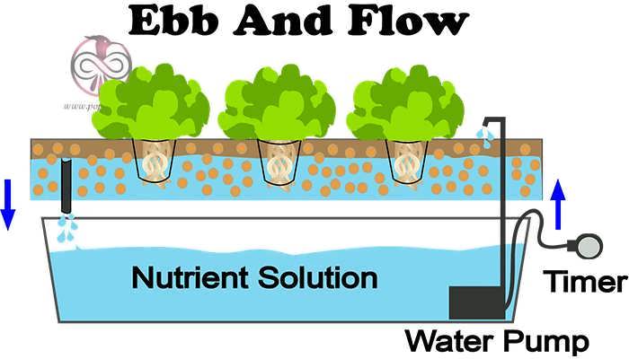 سیستم غرقاب تخلیه جزر و مد محلول غذایی (Ebb and Flow)