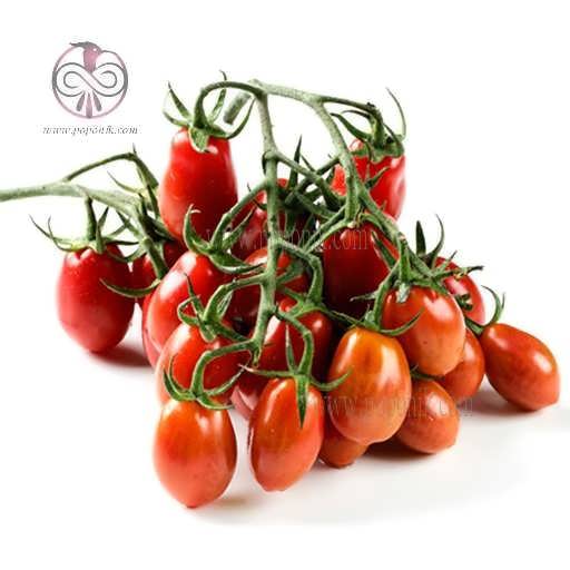 بذر گوجه فرنگی خوشه ای داترینو
