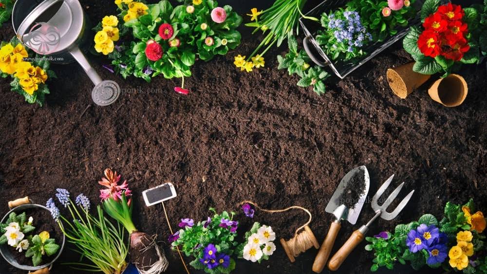 ابزارهای باغبانی و گل روی خاک