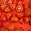 گوجه فرنگی پومودورو