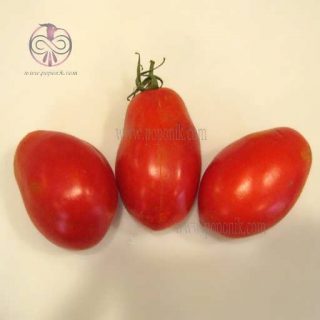 گوجه فرنگی پومودورو ارگانیک