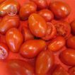 بذر گوجه فرنگی پومودورو ارگانیک