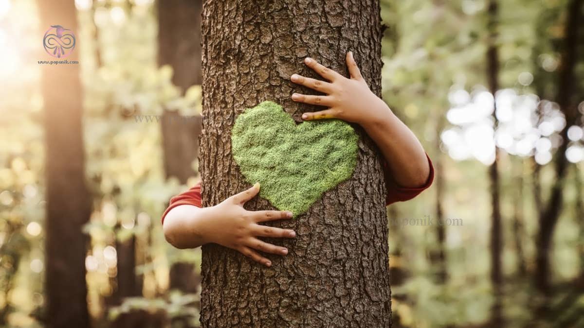 بچه ای که درختی را با شکل قلب بغل کرده است