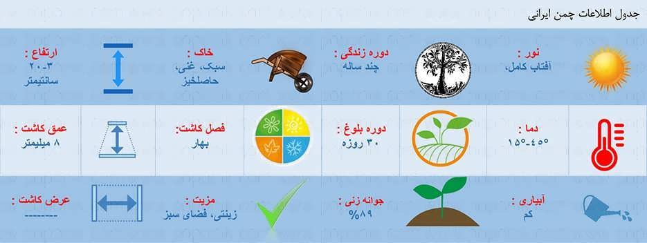 جدول اطلاعات کاشت بذر چمن ایرانی