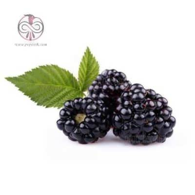 تمشک بی تیغ تمشک بی تیغ