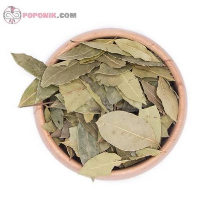 برگ بو از دید بالا برگ بو از دید بالا