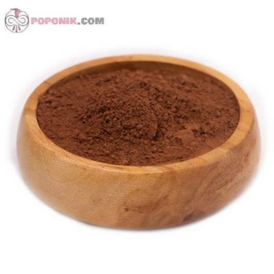 پودر کاکائو در کاسه پودر کاکائو در کاسه
