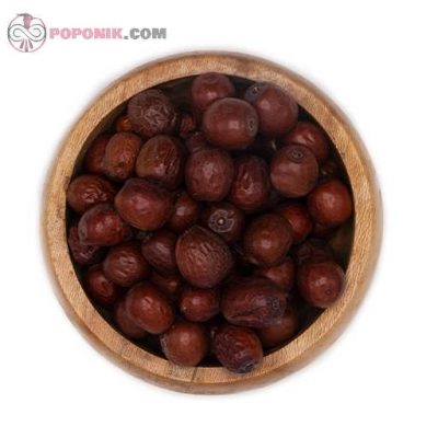 عناب از دید بالا عناب از دید بالا