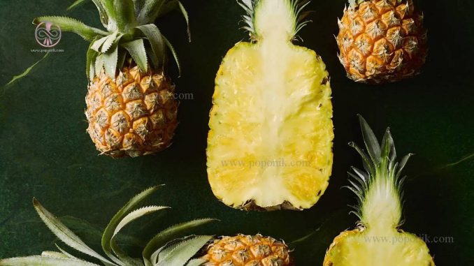 چگونگی رشد آناناس