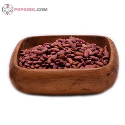 لوبیا قرمز کپسولی در کاسه لوبیا قرمز کپسولی در کاسه
