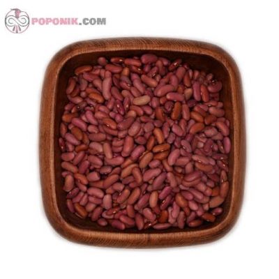لوبیا قرمز کپسولی از دید بالا لوبیا قرمز کپسولی از دید بالا