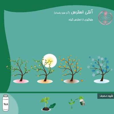آنتی استرس آذر سرو بامداد آنتی استرس آذر سرو بامداد