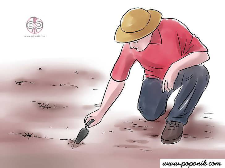 حفر گودال عمیق در خاک