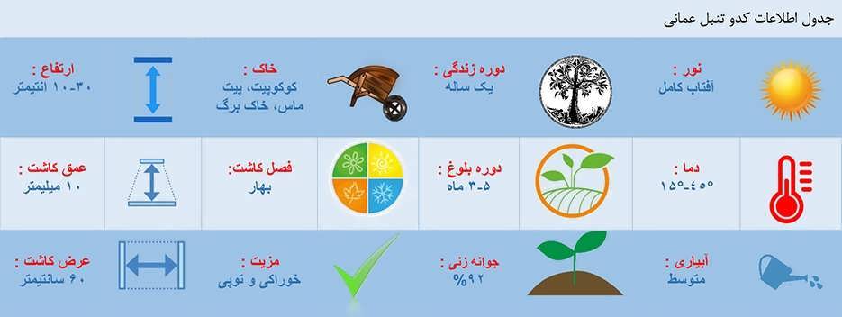 جدول اطلاعات کاشت بذر کدو تنبل عمانی